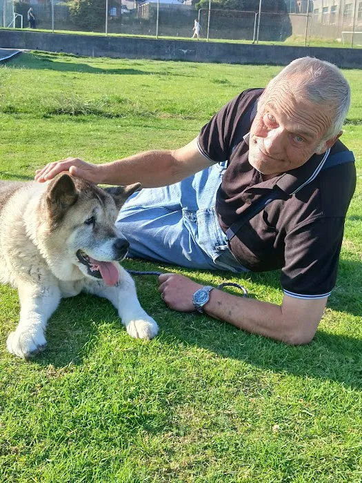 Andrew Mellor Veterinary Surgeons Picture 5