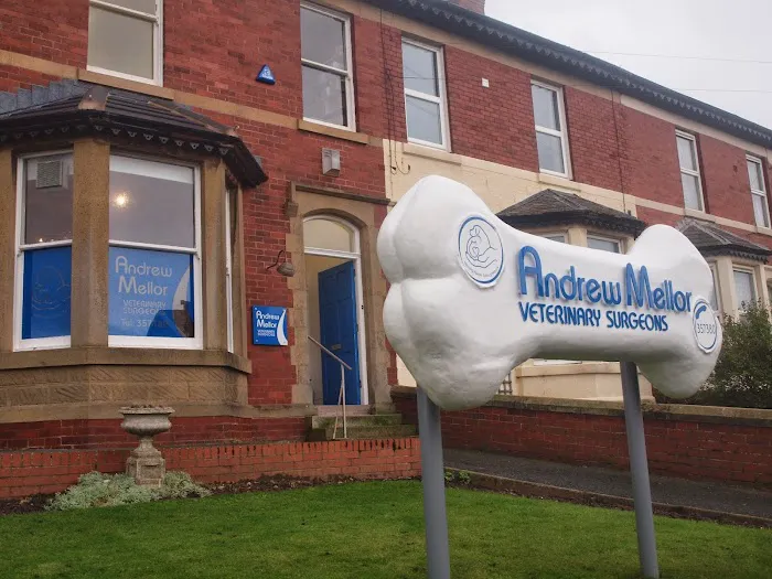 Andrew Mellor Veterinary Surgeons Picture 9
