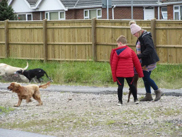 Microchipping implanter Picture 2