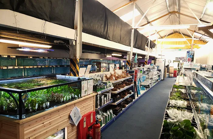 Maidenhead Aquatics Blackpool Picture 5