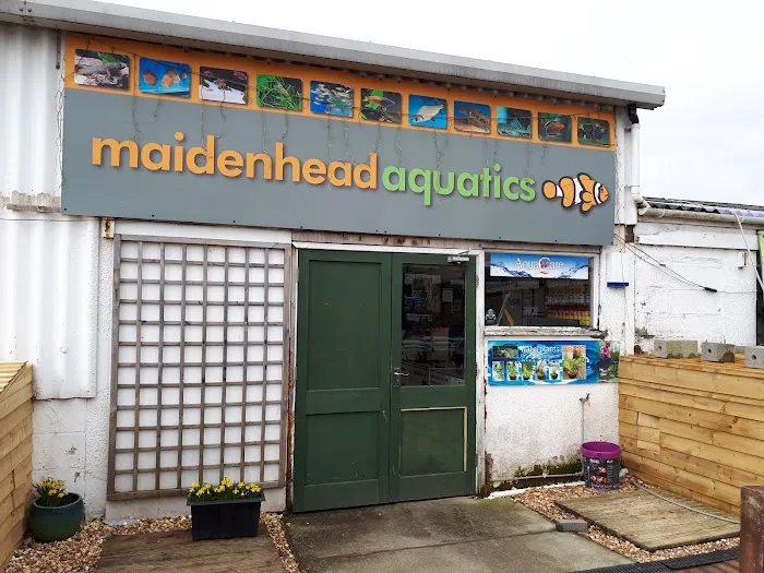 Maidenhead Aquatics Blackpool Picture 3