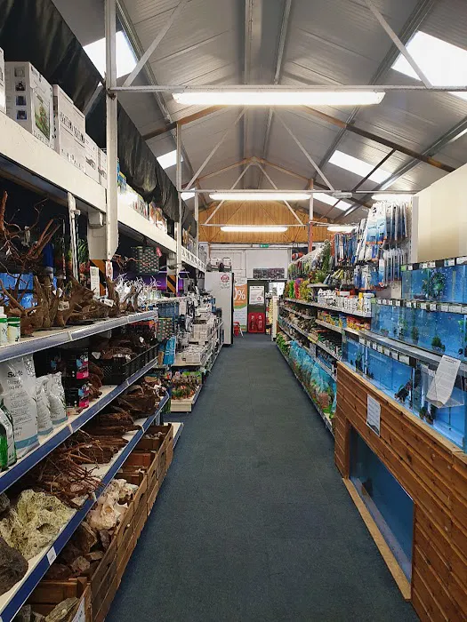 Maidenhead Aquatics Blackpool Picture 6