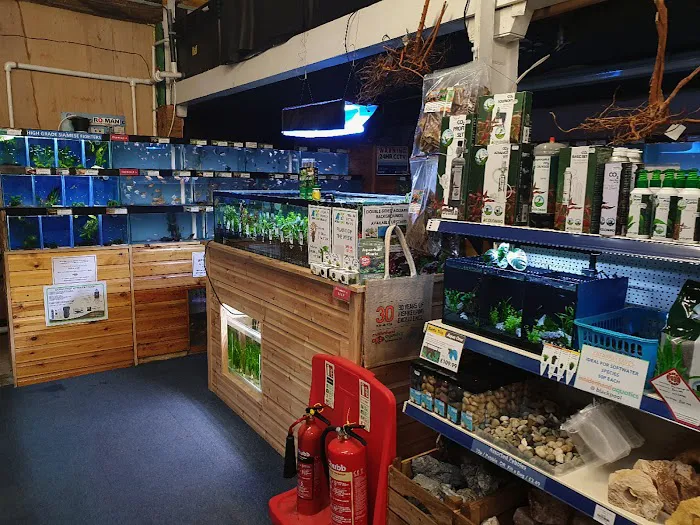 Maidenhead Aquatics Blackpool Picture 2