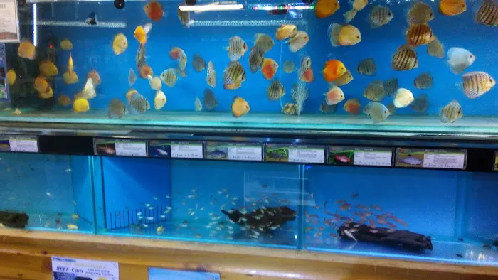 Maidenhead Aquatics Blackpool Picture 8