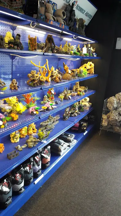 Norbreck Aquatics Picture 5