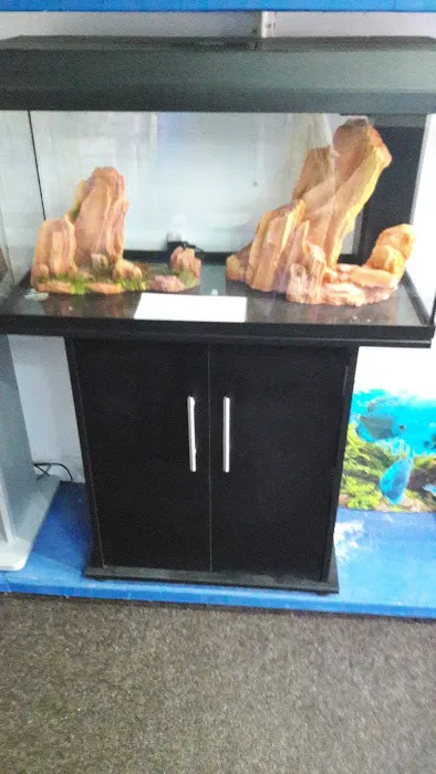 Norbreck Aquatics Picture 4