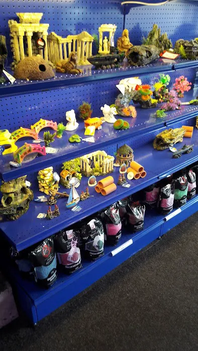 Norbreck Aquatics Picture 8