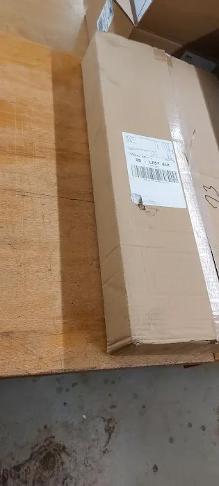 Love Aquatics Picture 7