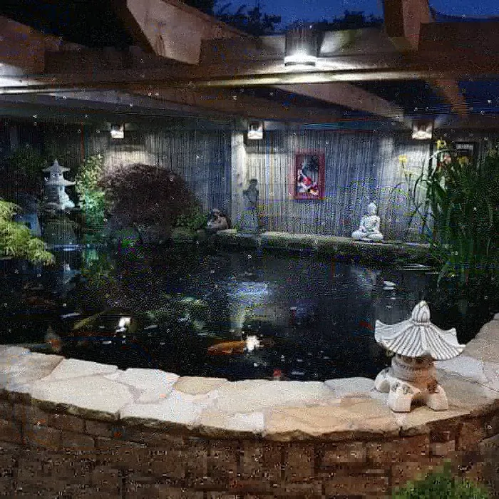 Love Aquatics Picture 6