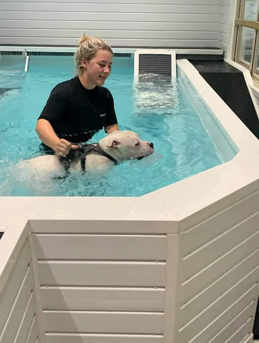 Finesse Canine Hydrotherapy Picture 3