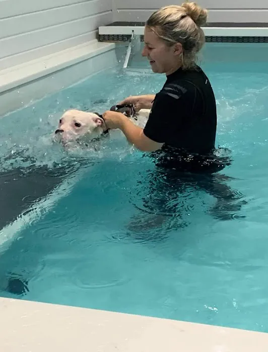 Finesse Canine Hydrotherapy Picture 1