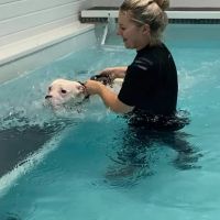 Finesse Canine Hydrotherapy ico