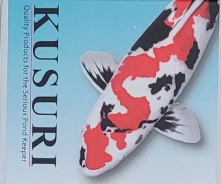 THE KOI POND