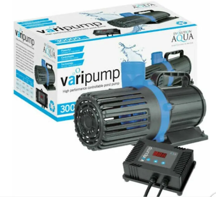 THE KOI POND Picture 2