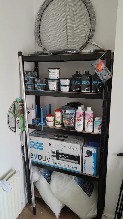 THE KOI POND Picture 4