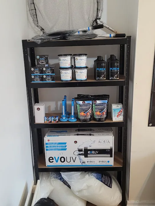 THE KOI POND Picture 5