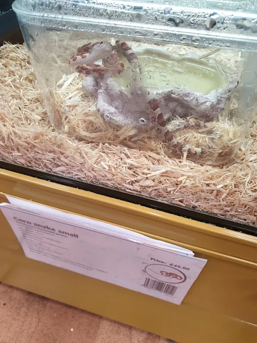 Pets at Home Blackpool Picture 7