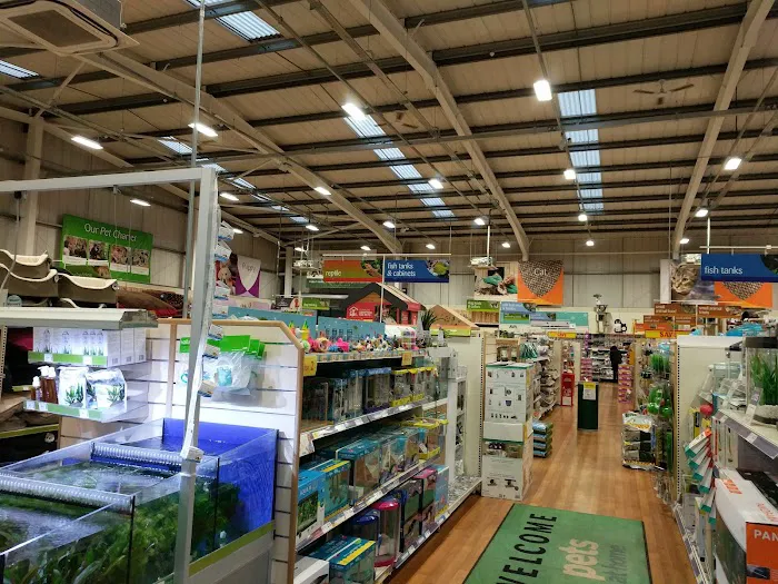 Pets at Home Blackpool Picture 4