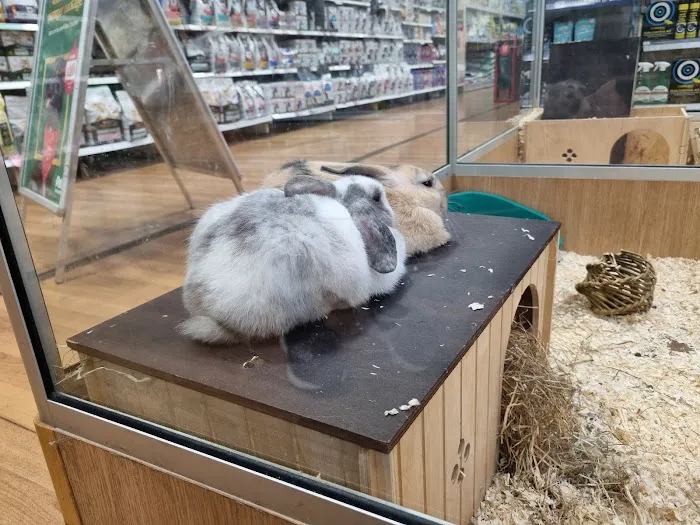 Pets at Home Blackpool Picture 1