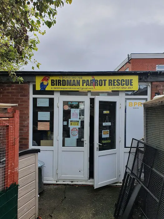 Birdman parrot rescue centre ltd Picture 10