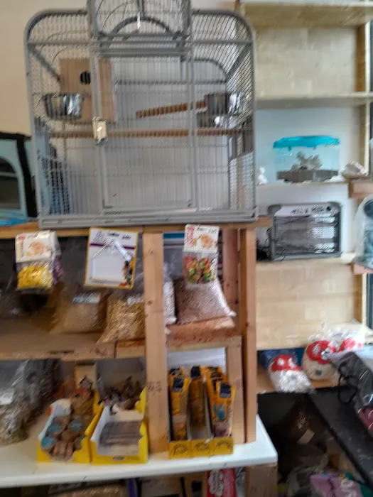 Pet Arcade Picture 4