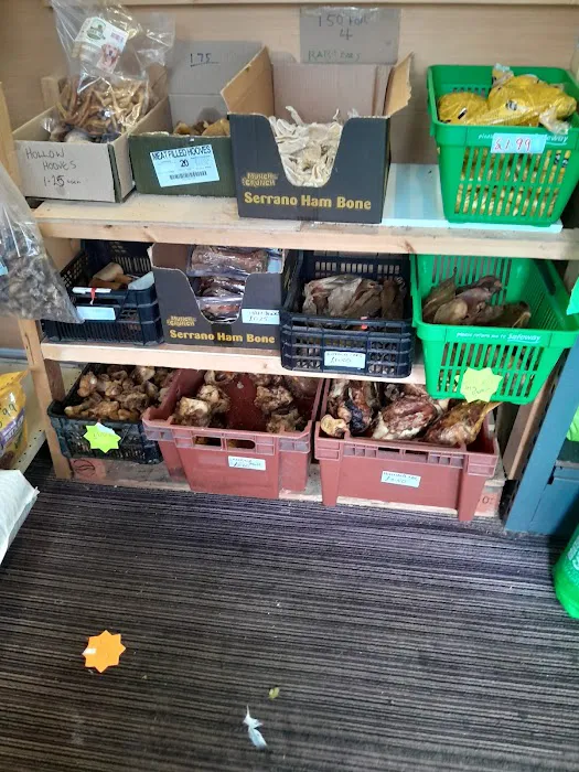 Pet Arcade Picture 2