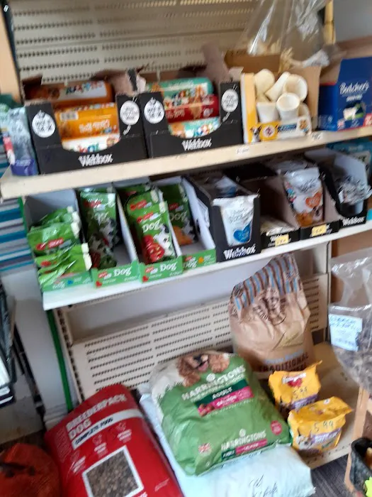 Pet Arcade Picture 6