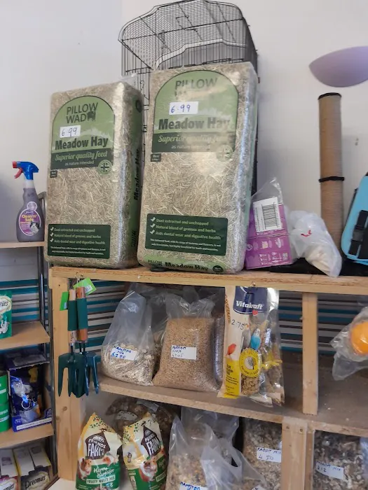 Pet Arcade Picture 8