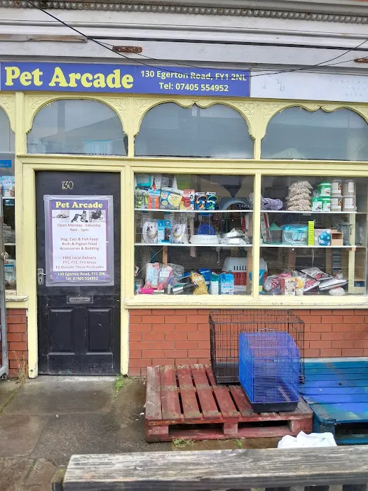 Pet Arcade Picture 5