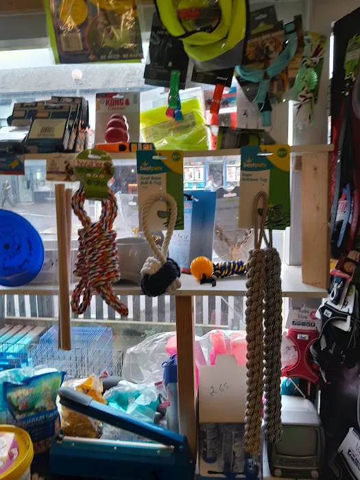 Pet Arcade Picture 1