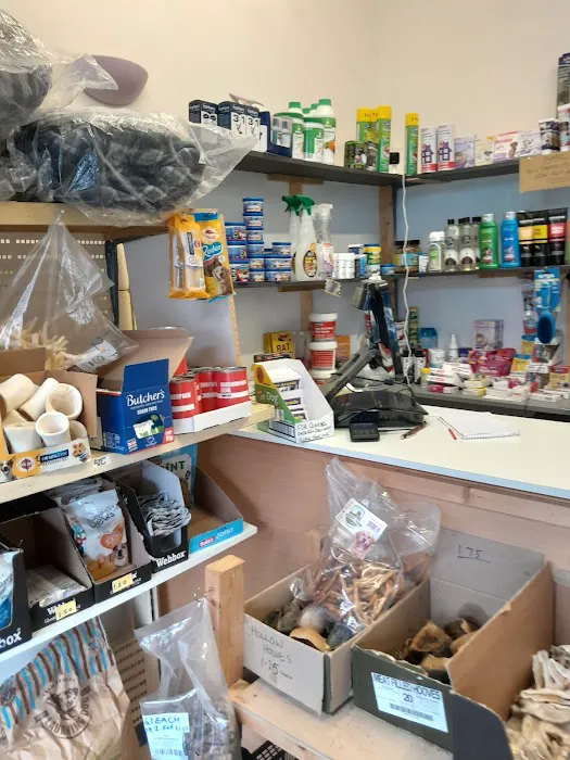 Pet Arcade Picture 7