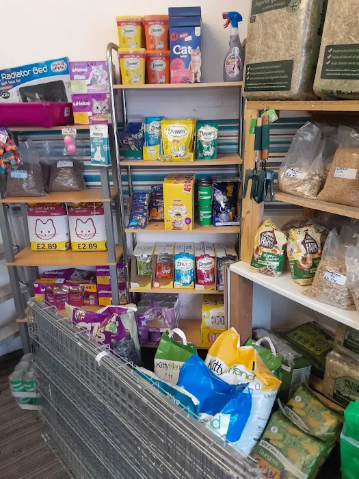 Pet Arcade Picture 3