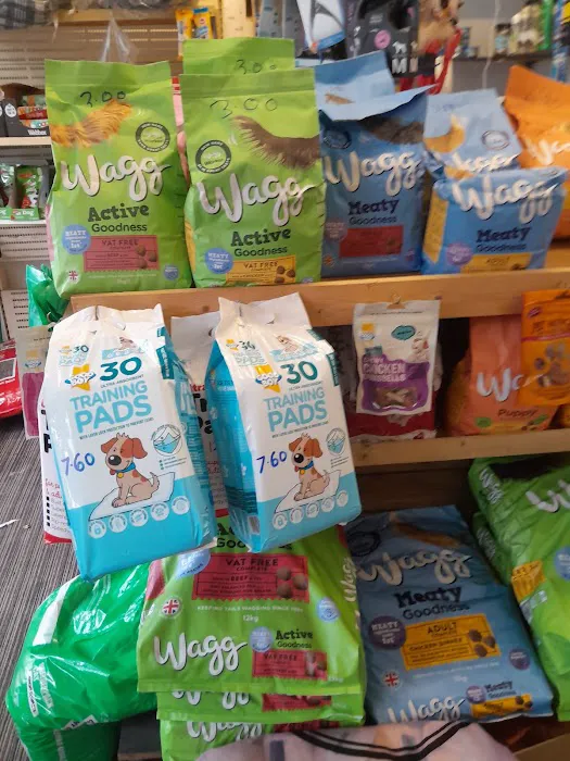 Pet Arcade Picture 10