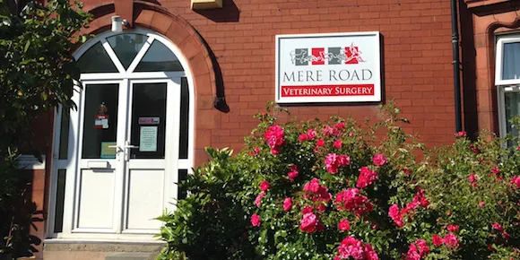 Mere Road Veterinary Surgery Picture 3