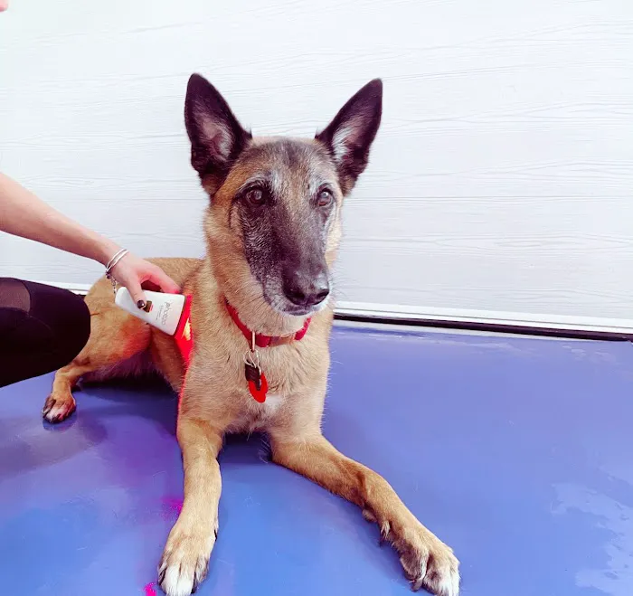 Willow's Hydrotherapy Ltd Picture 5
