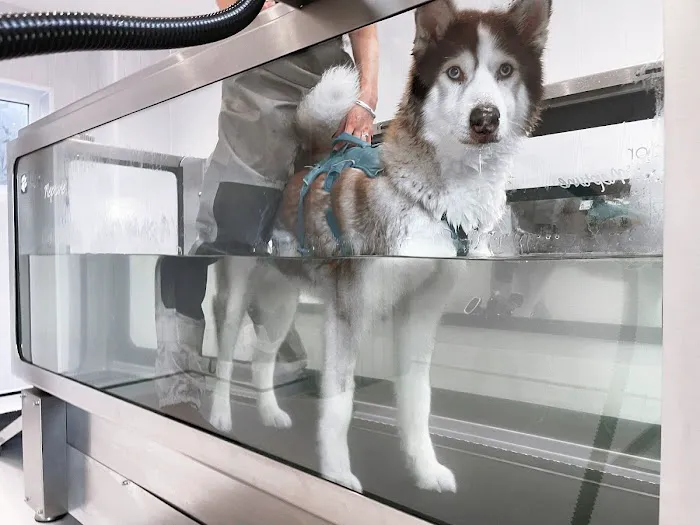 Willow's Hydrotherapy Ltd Picture 4