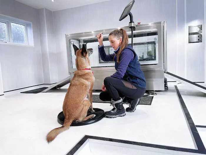 Willow's Hydrotherapy Ltd Picture 6