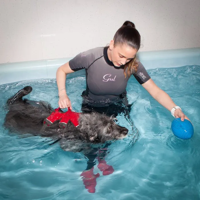 Willow's Hydrotherapy Ltd Picture 8