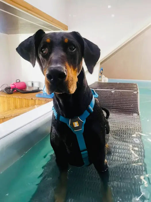 Willow's Hydrotherapy Ltd Picture 2