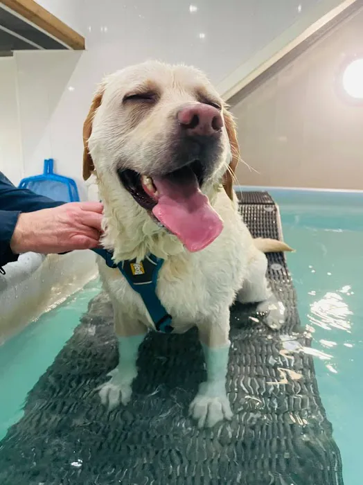 Willow's Hydrotherapy Ltd Picture 1