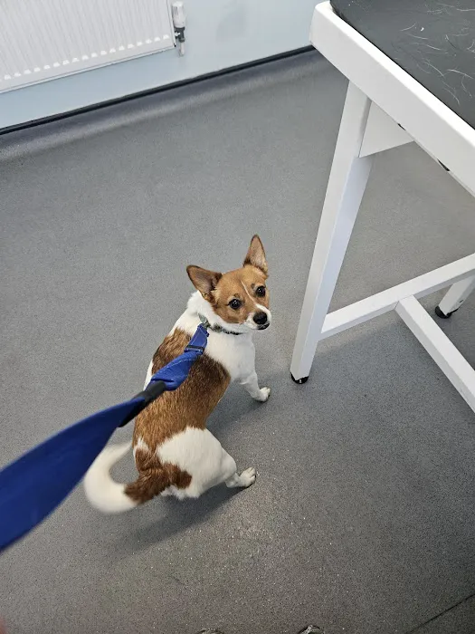 Rowan Veterinary Centre Ltd Picture 8