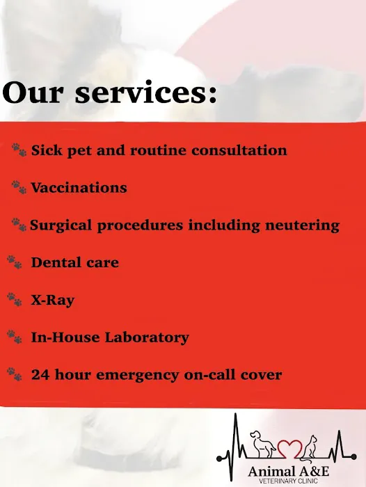 Animal A&E Veterinary Clinic LTD Picture 10