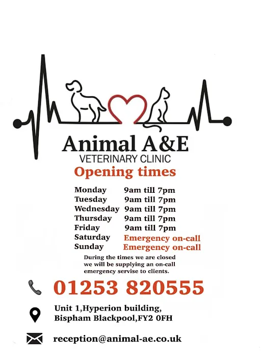 Animal A&E Veterinary Clinic LTD Picture 8