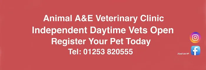Animal A&E Veterinary Clinic LTD Picture 5