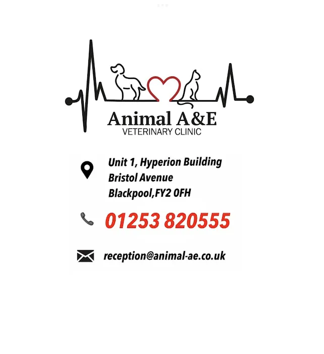 Animal A&E Veterinary Clinic LTD Picture 4