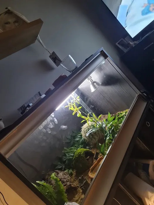 Blackpool Reptiles & Aquatics LTD Picture 3