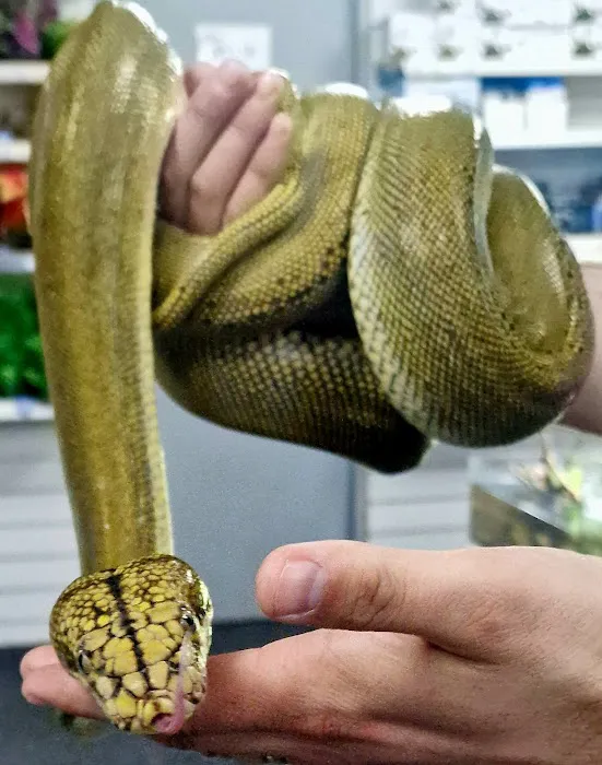 Blackpool Reptiles & Aquatics LTD Picture 9