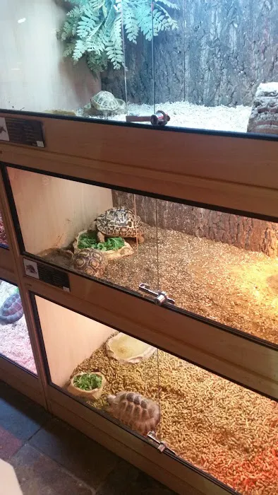 Blackpool Reptiles & Aquatics LTD Picture 10