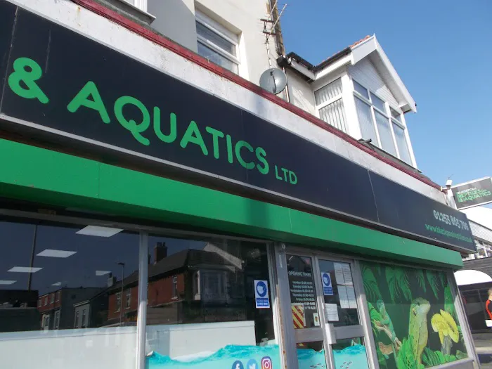 Blackpool Reptiles & Aquatics LTD Picture 1