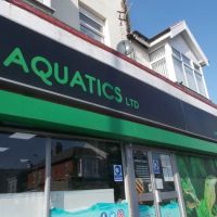 Blackpool Reptiles & Aquatics LTD ico